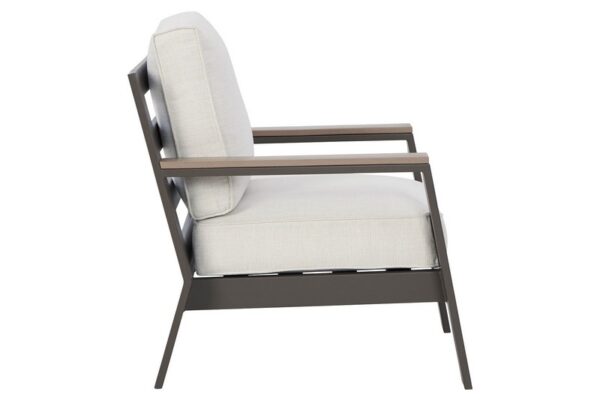 Tropicava Taupe / White Lounge Chair W/Cushion - Image 5