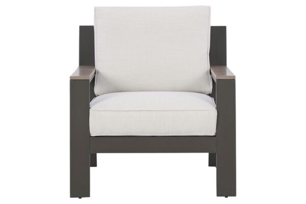 Tropicava Taupe / White Lounge Chair W/Cushion - Image 4