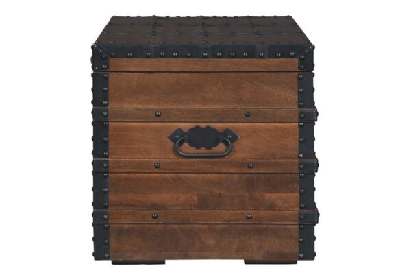 Kettleby Brown Storage Trunk - Image 6